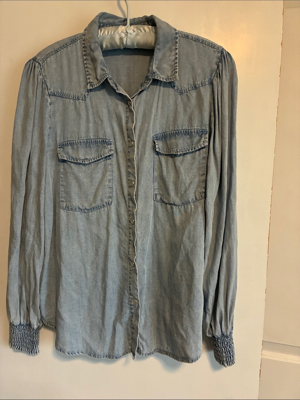Jane and Delancey Light Blue Denim Pearl Button western style size large